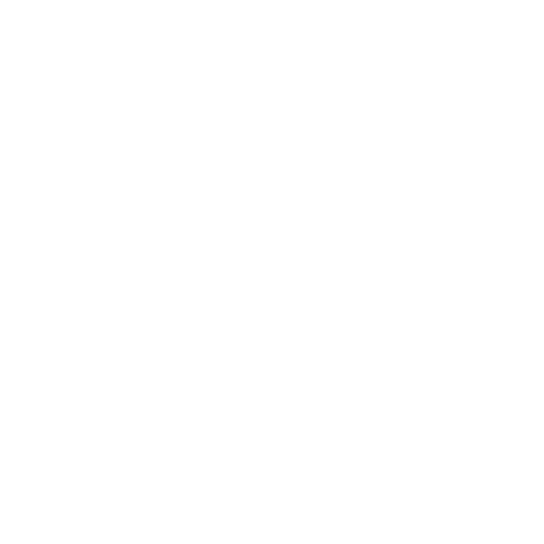 The news logo